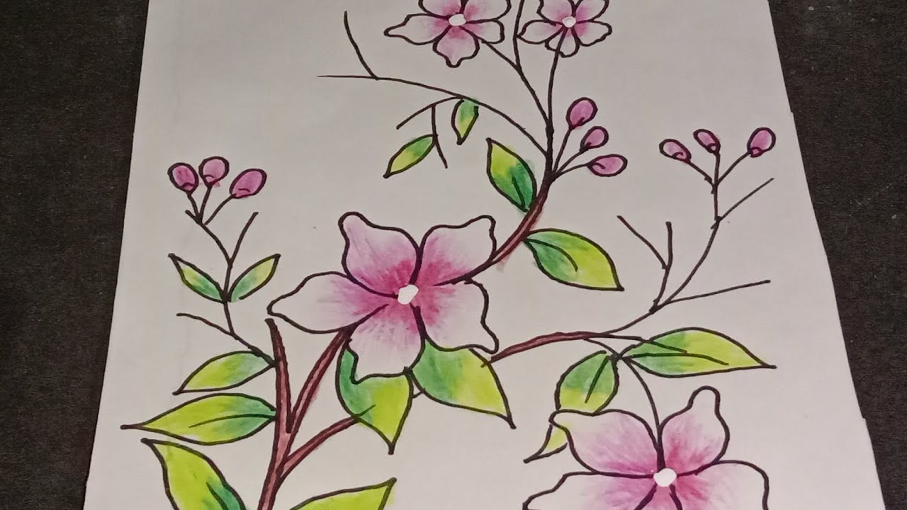 Detail Gambar Bunga Sakura Dengan Pensil Nomer 10