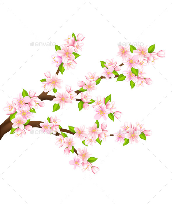 Detail Gambar Bunga Sakura Gerak Nomer 31