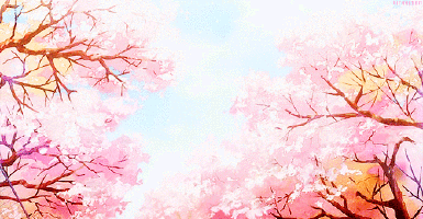 Detail Gambar Bunga Sakura Gif Nomer 36