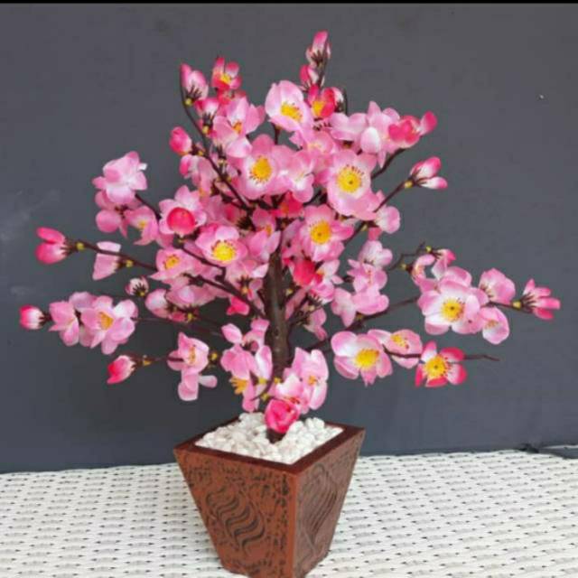 Gambar Bunga Sakura Hias - KibrisPDR