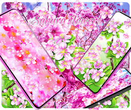 Detail Gambar Bunga Sakura Hidup Nomer 8