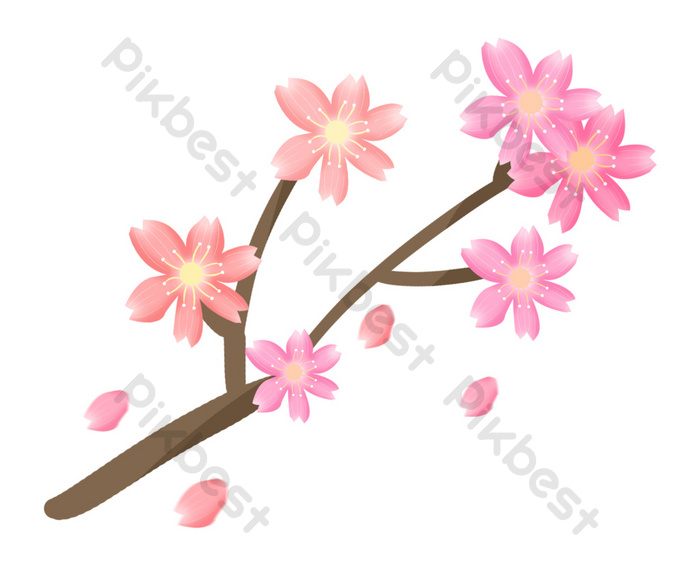 Detail Gambar Bunga Sakura Jatuh Nomer 25