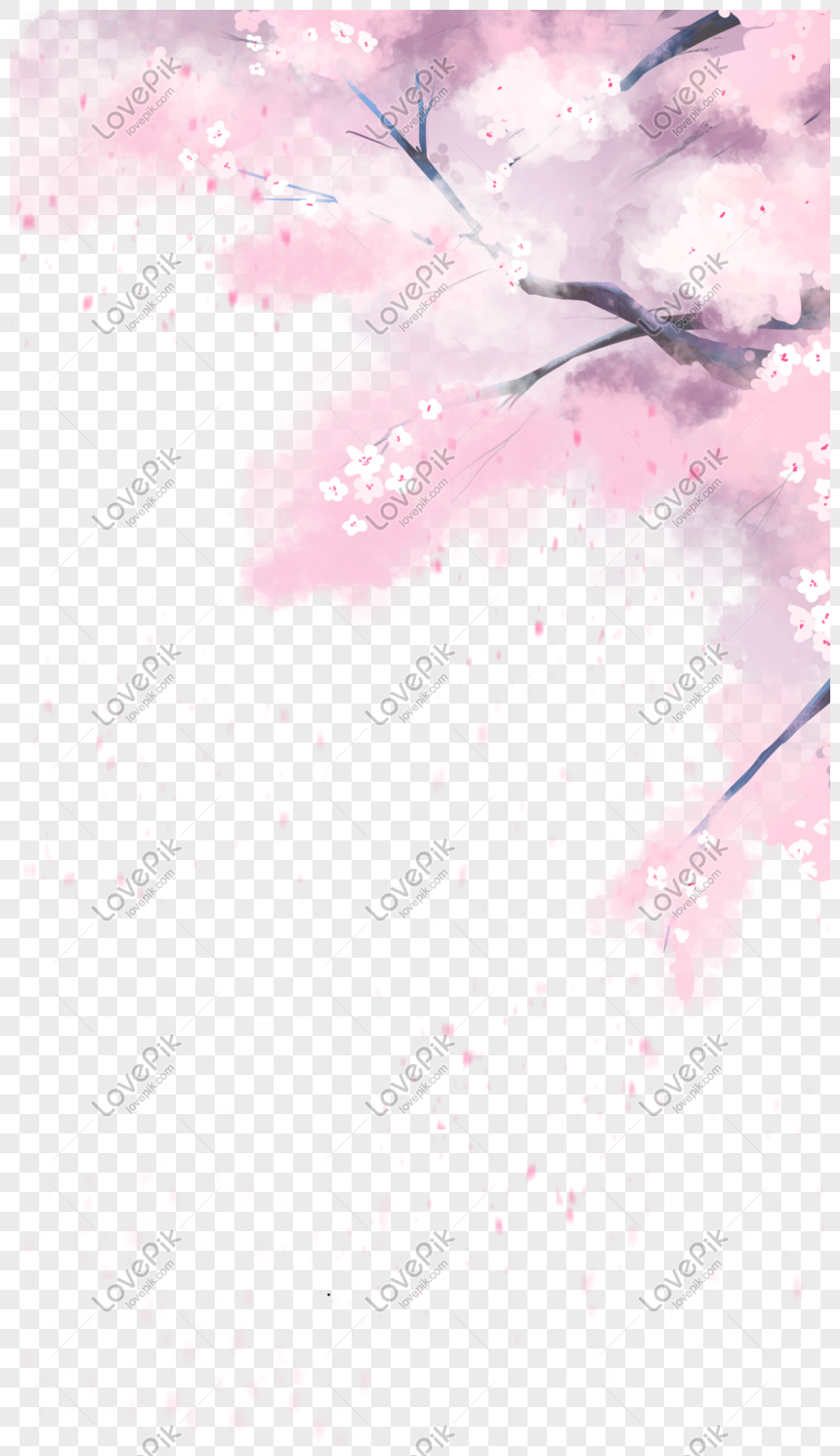 Detail Gambar Bunga Sakura Jatuh Nomer 30
