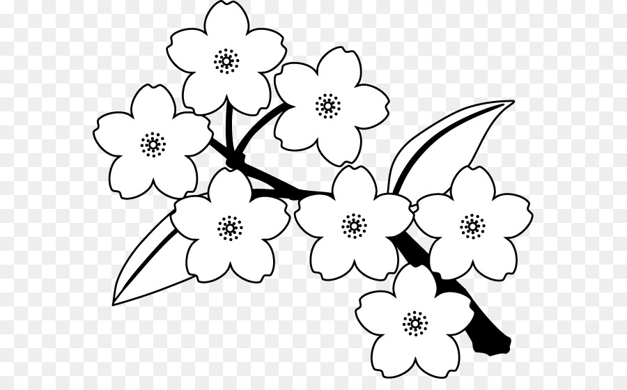Detail Gambar Bunga Sakura Kartun Hitam Putih Nomer 11