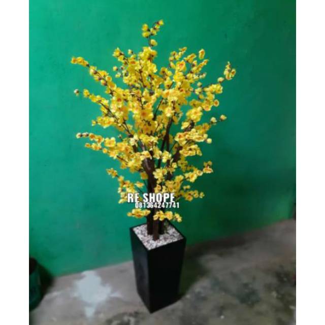 Detail Gambar Bunga Sakura Kuning Nomer 45