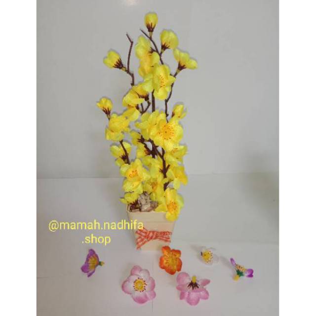 Detail Gambar Bunga Sakura Kuning Nomer 47