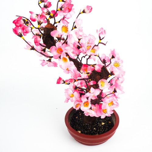 Download Gambar Bunga Sakura Lengkap Nomer 17