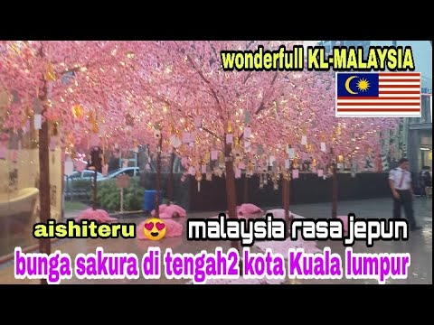 Detail Gambar Bunga Sakura Malaysia Nomer 38