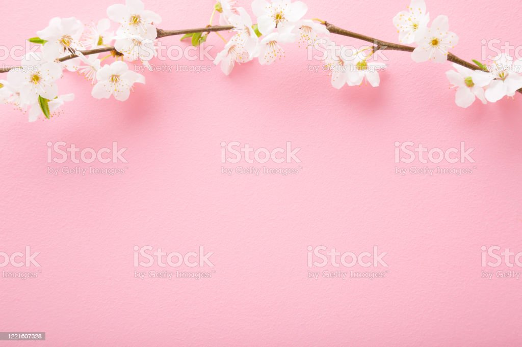 Detail Gambar Bunga Sakura Meja Nomer 47