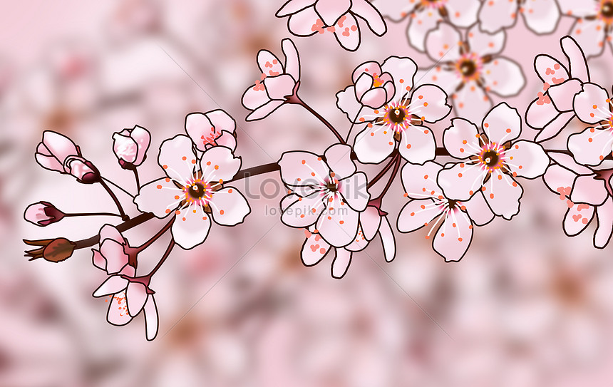 Detail Gambar Bunga Sakura Merah Nomer 47