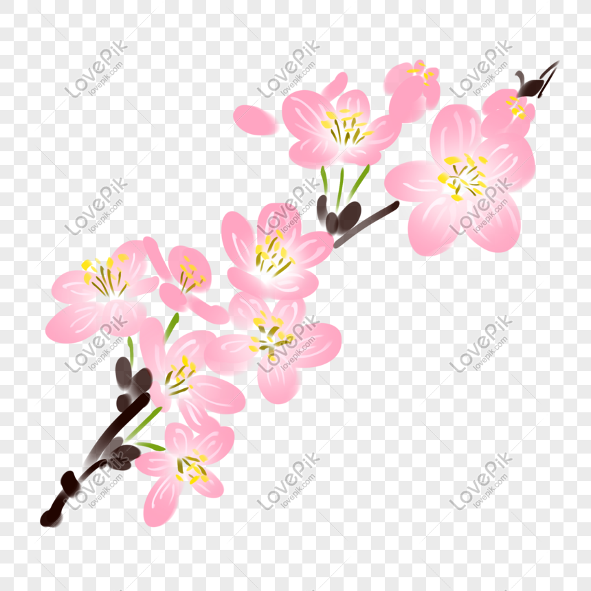 Detail Gambar Bunga Sakura Merah Nomer 55