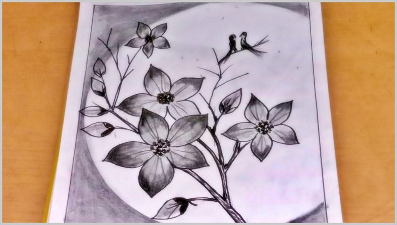 Detail Gambar Bunga Sakura Pakai Pensil Nomer 21