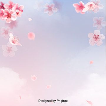 Detail Gambar Bunga Sakura Pinterest Nomer 47