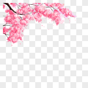 Detail Gambar Bunga Sakura Png Nomer 12