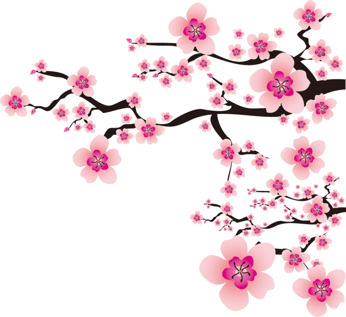 Detail Gambar Bunga Sakura Png Nomer 14