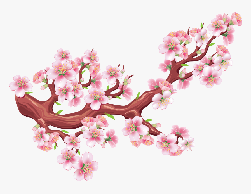 Detail Gambar Bunga Sakura Png Nomer 4