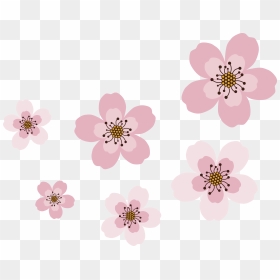 Detail Gambar Bunga Sakura Png Nomer 46