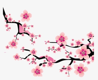Detail Gambar Bunga Sakura Sakura Nomer 56