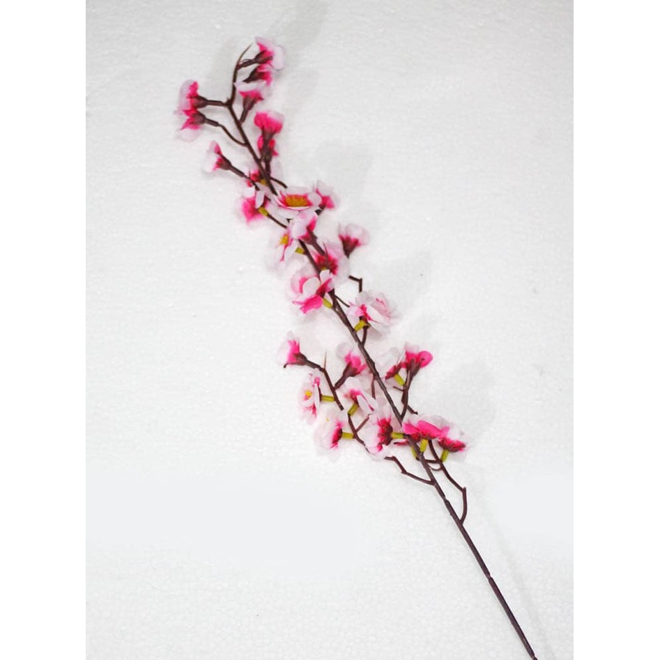 Gambar Bunga Sakura Setangkai - KibrisPDR