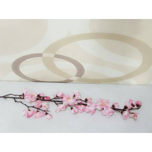 Detail Gambar Bunga Sakura Setangkai Nomer 6