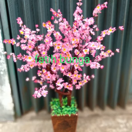 Detail Gambar Bunga Sakura Setangkai Nomer 57