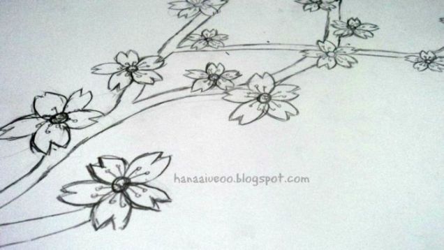 Detail Gambar Bunga Sakura Sketsa Nomer 47