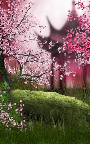 Detail Gambar Bunga Sakura Untuk Wallpaper Nomer 33