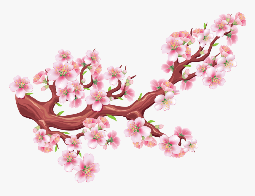 Detail Gambar Bunga Sakura Vector Nomer 2