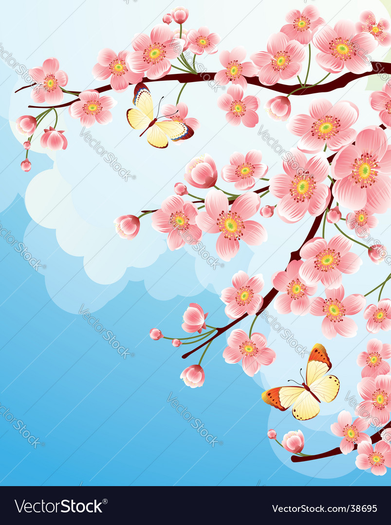 Detail Gambar Bunga Sakura Vector Nomer 11