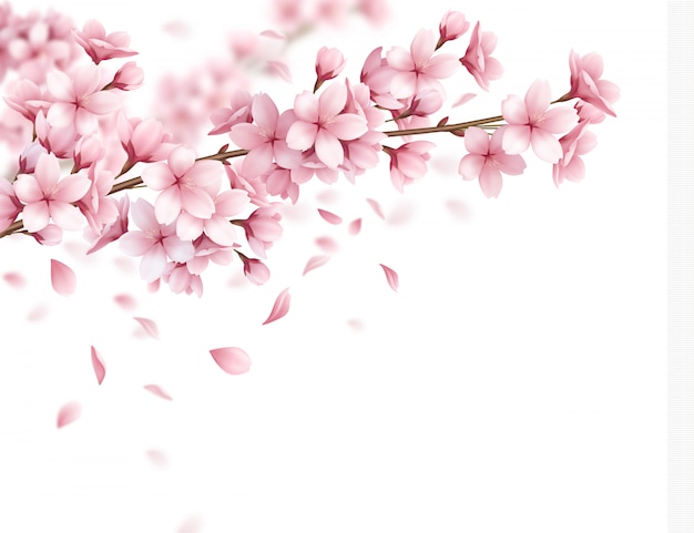Detail Gambar Bunga Sakura Vector Nomer 3