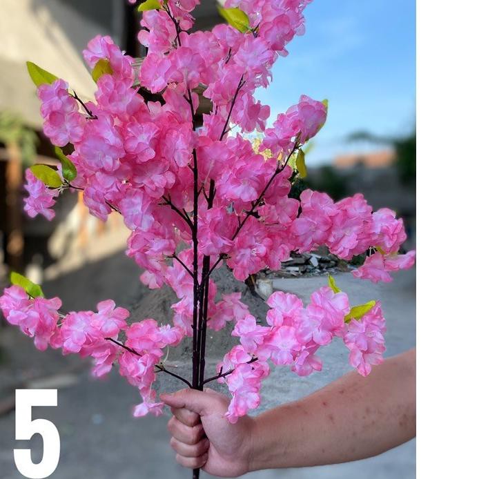 Detail Gambar Bunga Sakura Yang Bagus Nomer 35