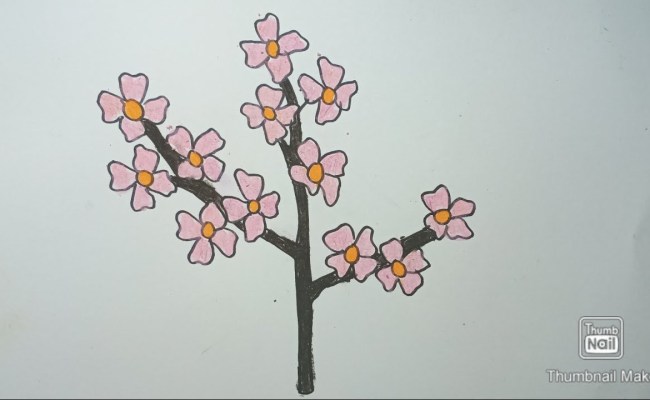 Detail Gambar Bunga Sakura Yang Gampang Nomer 17