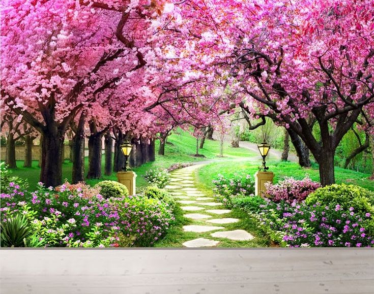Detail Gambar Bunga Sakura Yang Paling Cantik Nomer 15