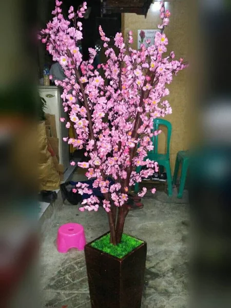 Detail Gambar Bunga Sakura Yg Besar Nomer 32