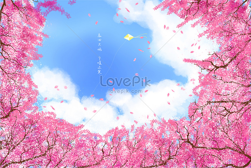 Detail Gambar Bunga Sakura Yg Indah Nomer 12