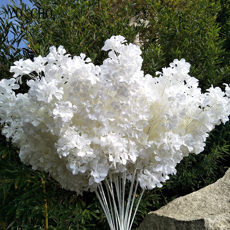 Detail Gambar Bunga Salju Putih Nomer 6