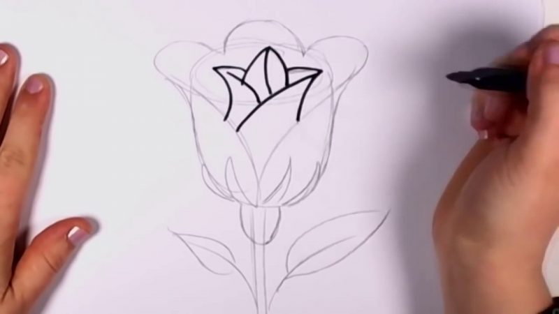 Detail Gambar Bunga Sangat Mudah Digambar Nomer 49