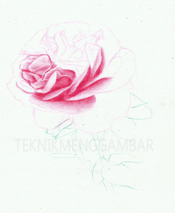 Detail Gambar Bunga Sederhana Dengan Pensil Nomer 49