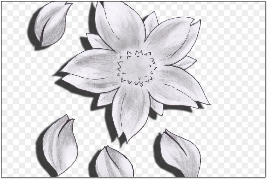 Detail Gambar Bunga Sederhana Sketsa Nomer 41