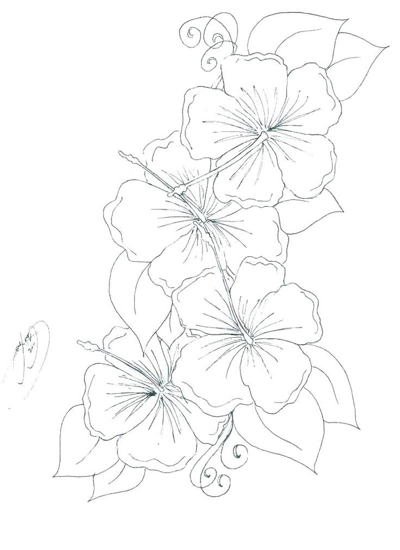 Detail Gambar Bunga Sederhana Tapi Indah Nomer 50