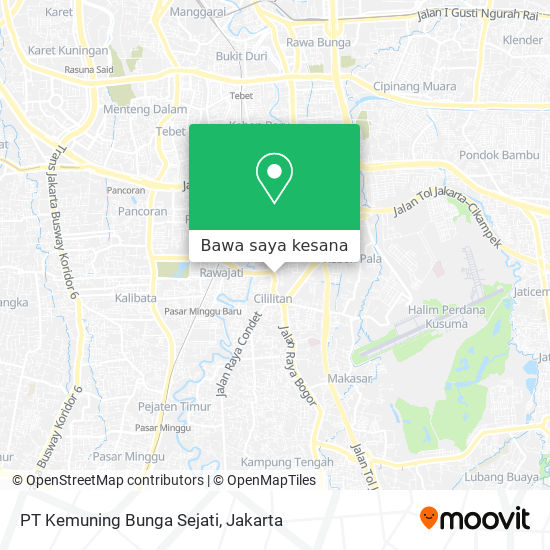 Detail Gambar Bunga Sejati Nomer 47