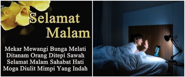 Detail Gambar Bunga Selamat Malam Nomer 45