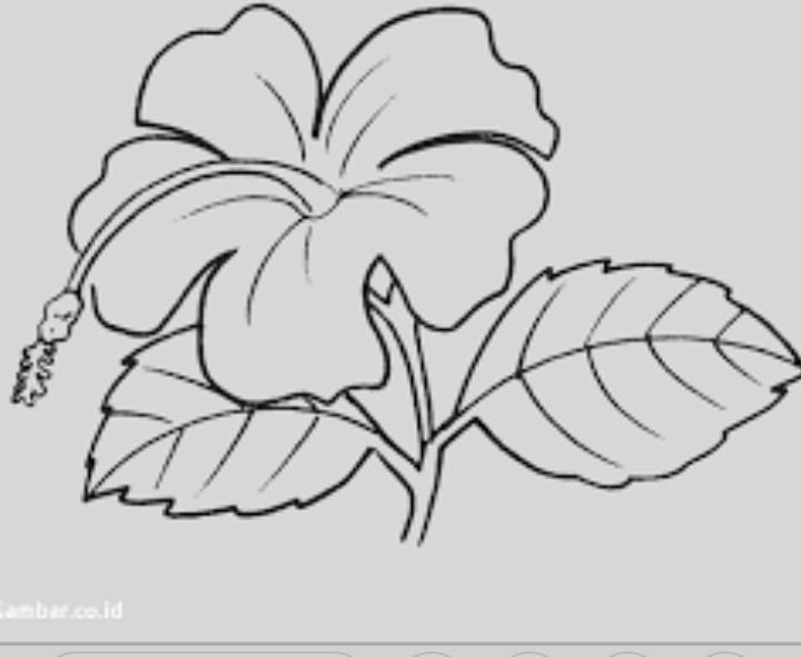 Detail Gambar Bunga Seni Budaya Nomer 7