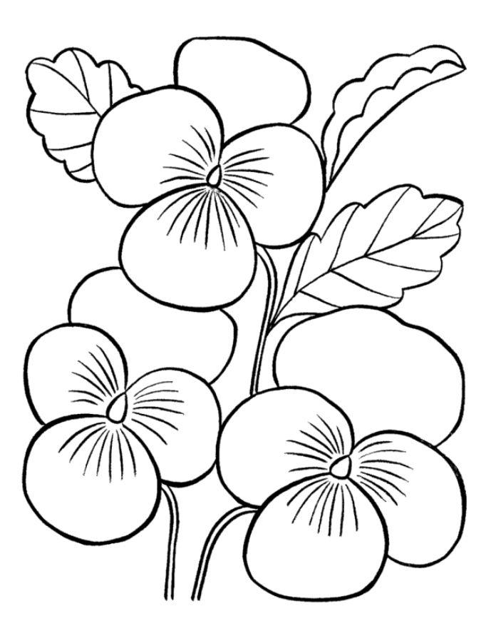 Detail Gambar Bunga Simple Nomer 12