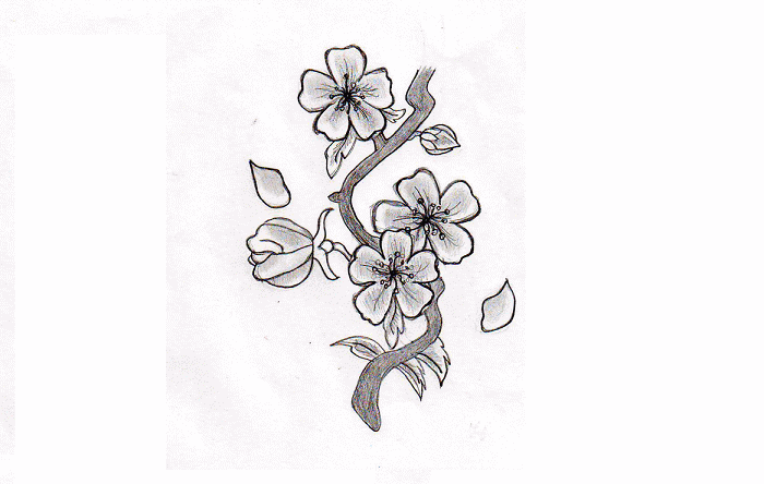 Detail Gambar Bunga Simple Nomer 10