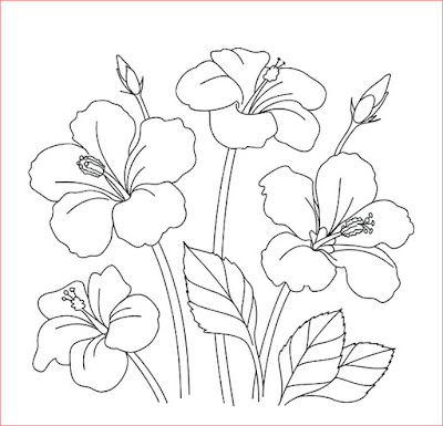 Detail Gambar Bunga Sketsa Pensil Nomer 37