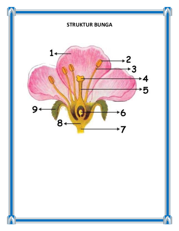 Detail Gambar Bunga Struktur Nomer 39