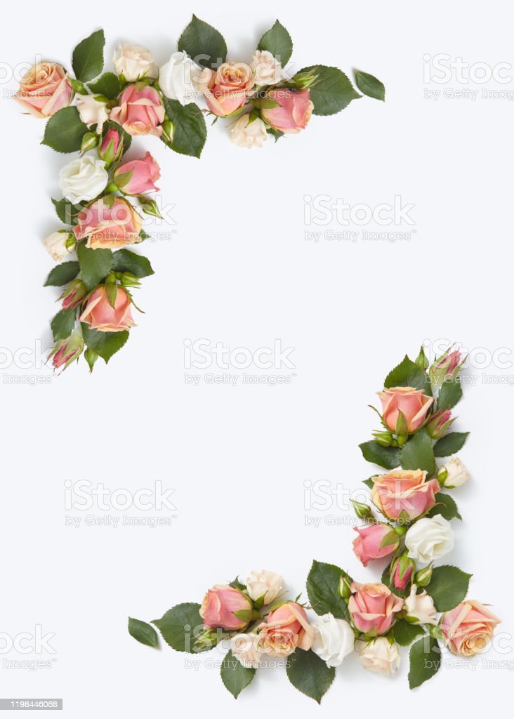 Detail Gambar Bunga Sudut Bingkai Nomer 5