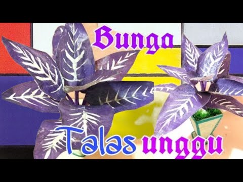 Download Gambar Bunga Talas Nomer 43