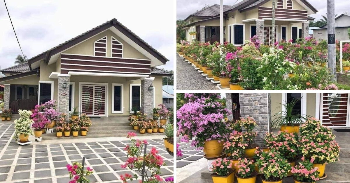 Detail Gambar Bunga Taman Rumah Nomer 16